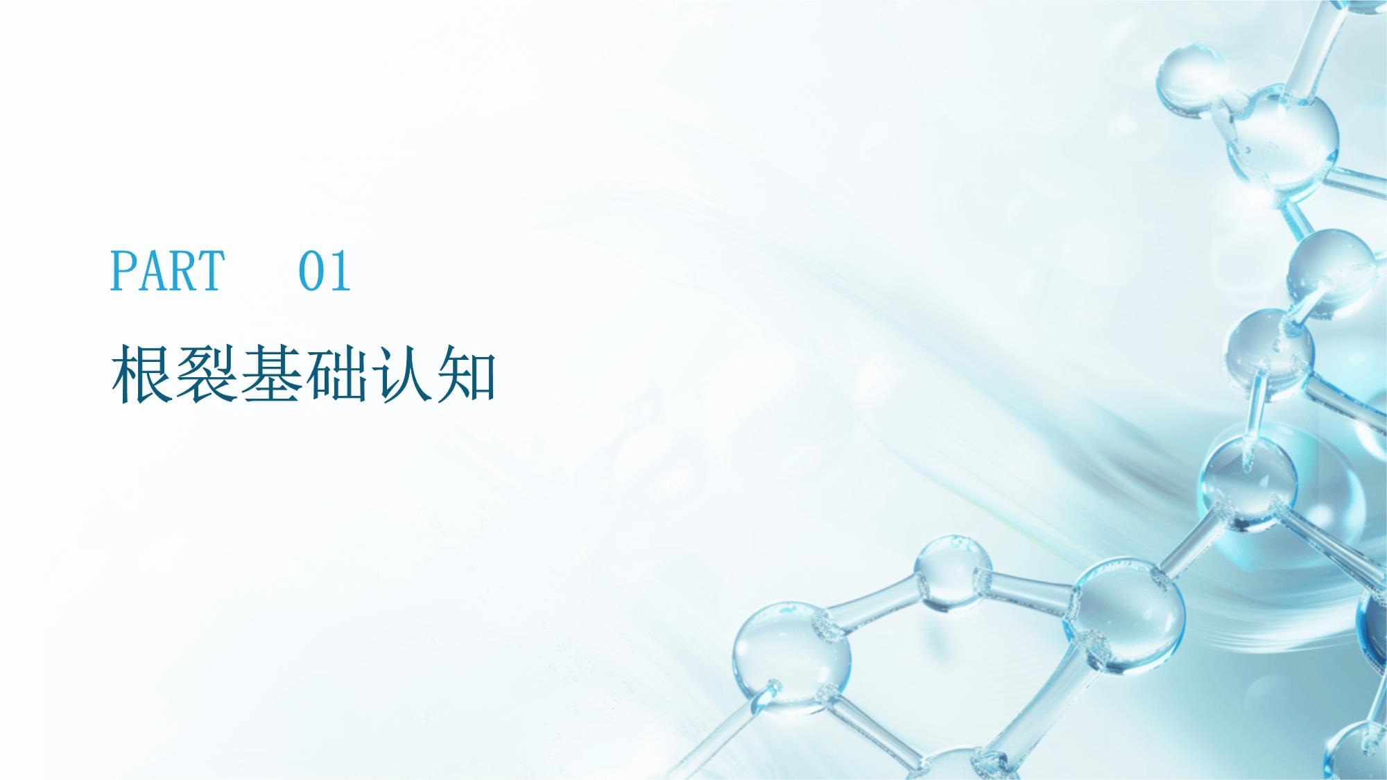 口腔牙齒根裂的臨床診療體系構建與優(yōu)化——提升口腔診療服務質量的關鍵路徑